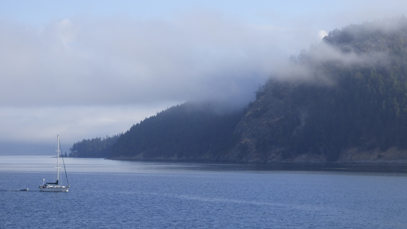 Illustration for article titled Pacific NW pics